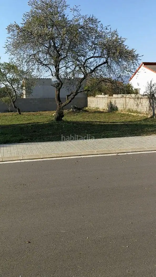 Terreno residencial en venta en Carrer Olivera 28, imagen 2