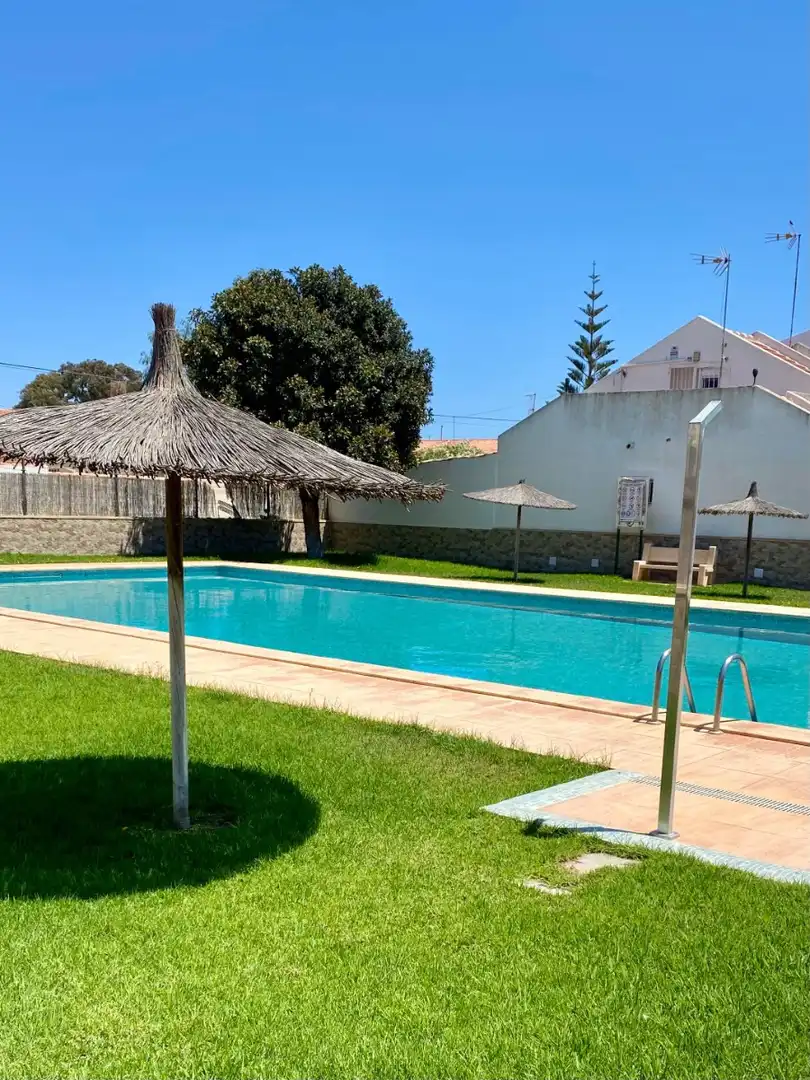 Swimming pool of Apartments for rent in Torrevieja  with Air Conditioner, Terrace and Furnished
