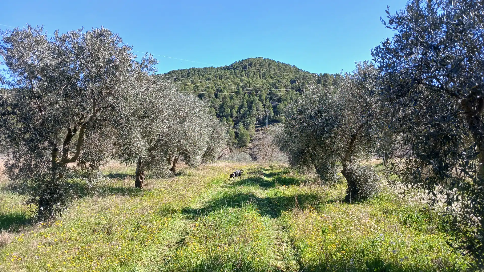 Terreni e lotti in vendita a N/A