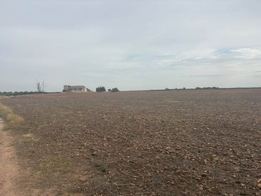 Terreno rustico in vendita a Écija