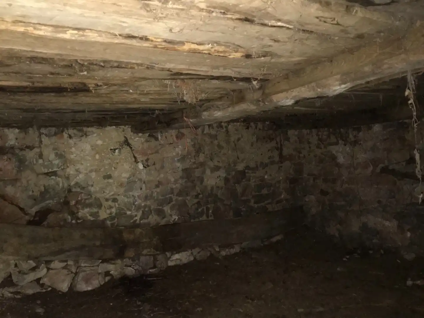 Terreno rustico in vendita a Cangas de Onís, imagen 7