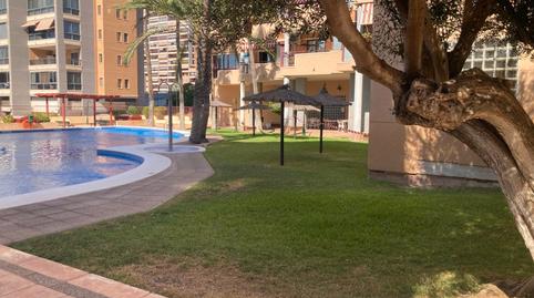 Foto 4 de Piso en venta en Playa Poniente, Benidorm