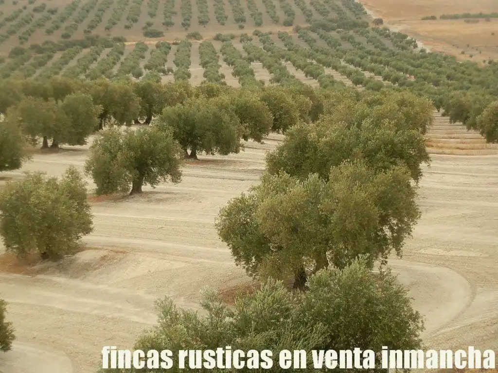 Terreni e lotti in vendita a Andújar, imagen 12