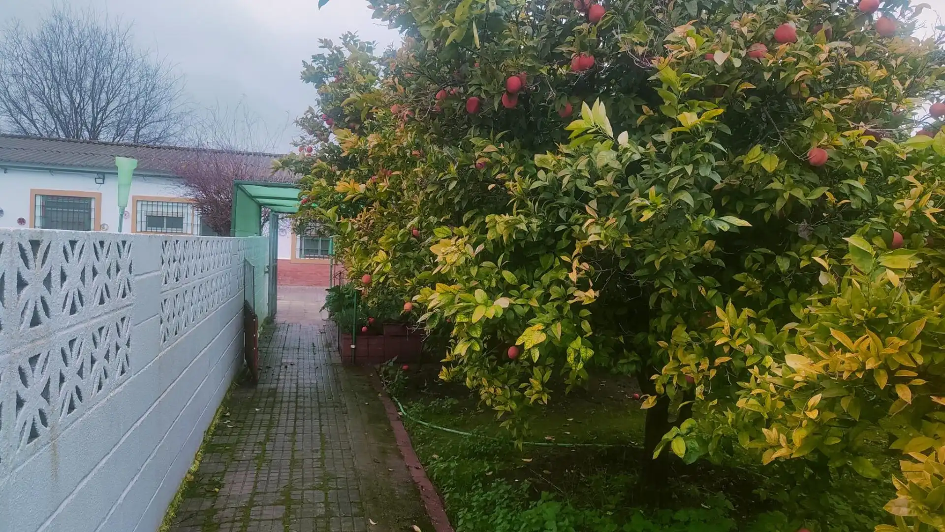 Garden of Houses for sale in Córdoba  with Air Conditioner, Heating and Private garden