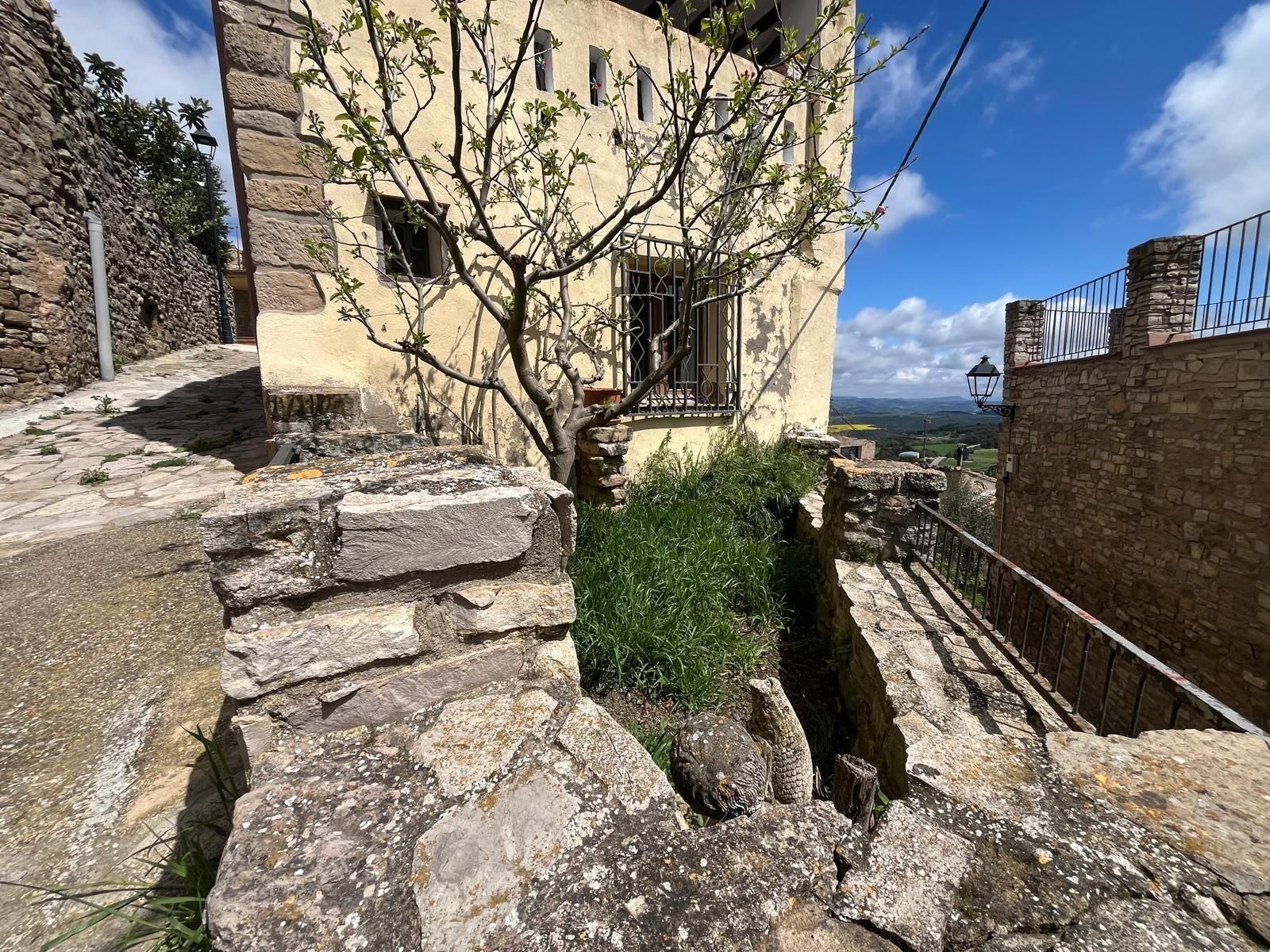 Vista exterior de Casa o xalet en venda en Argençola amb Calefacció, Jardí privat i Traster