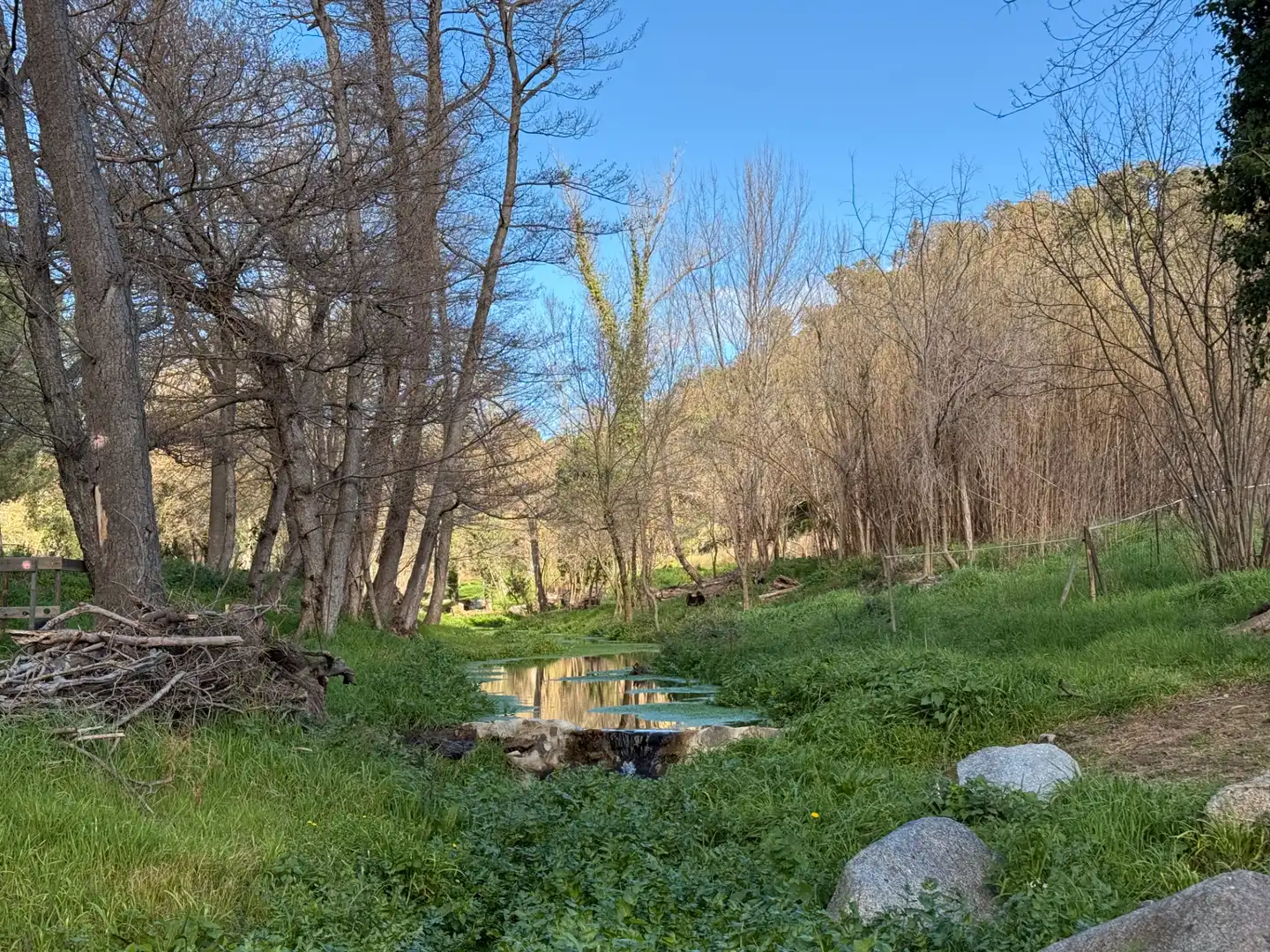 Finca rústica en venda a Agullana
