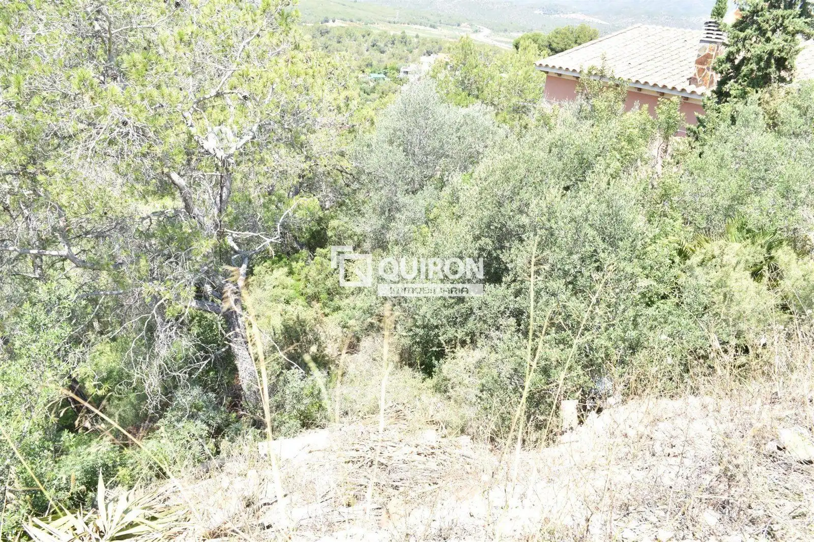 Rural land for sale in La Bisbal del Penedès, imagen 2