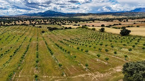 ^**^FINCA AGRÍCOLA Y DE RECREO EN TOLEDO – 17 HECTÁREAS CON CASA EN CONSTRUCCIÓN Y MÚLTIPLES POSIBILIDADES^**^, imatge 3