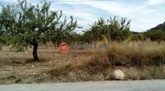Rural land for sale in Calle de Polígono F 209, imagen 5