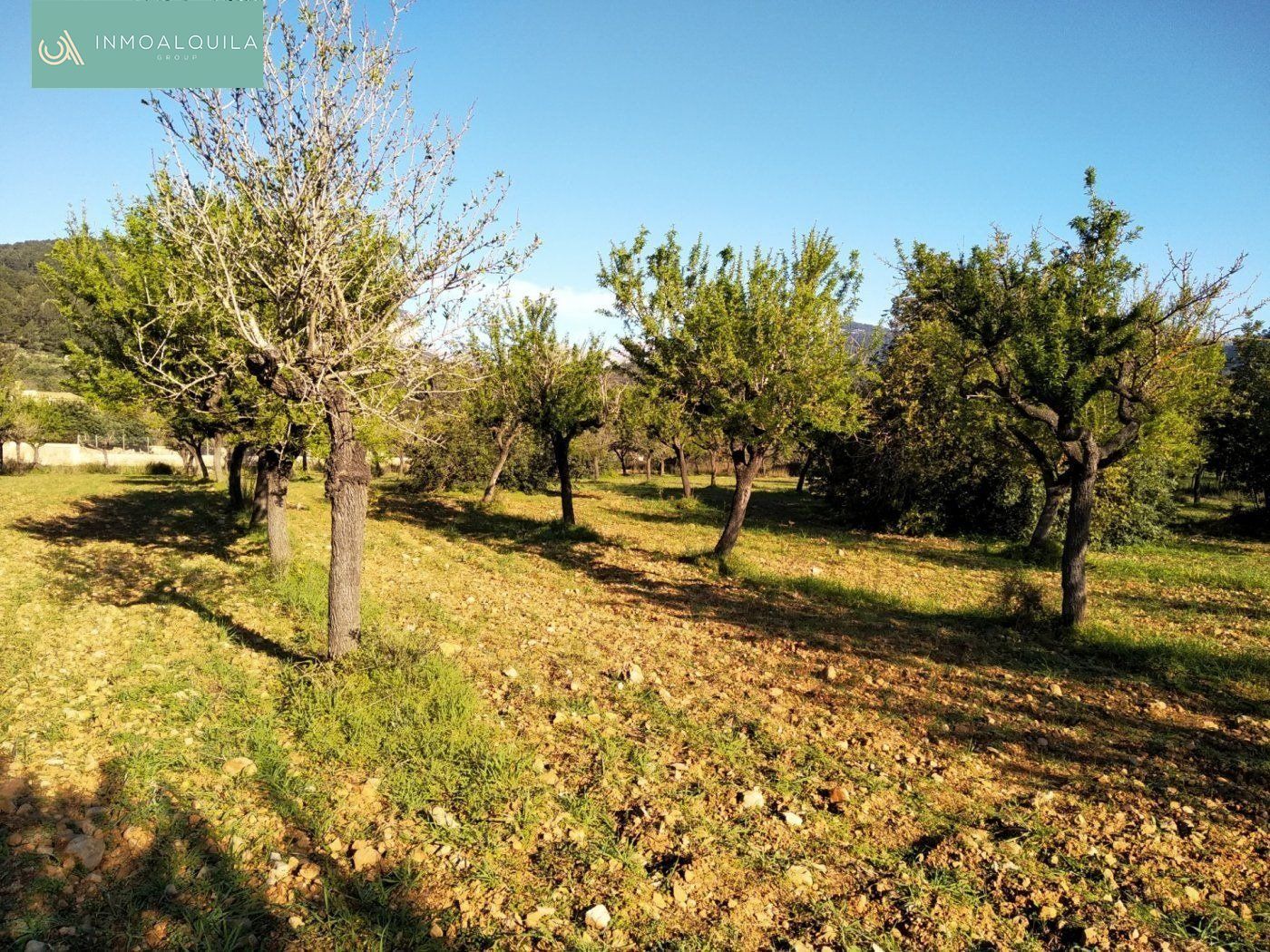 Finca rústica en venta en Lloseta