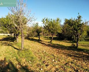 Finca rústica en venda en Lloseta