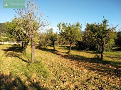 Finca rústica en venda en Lloseta