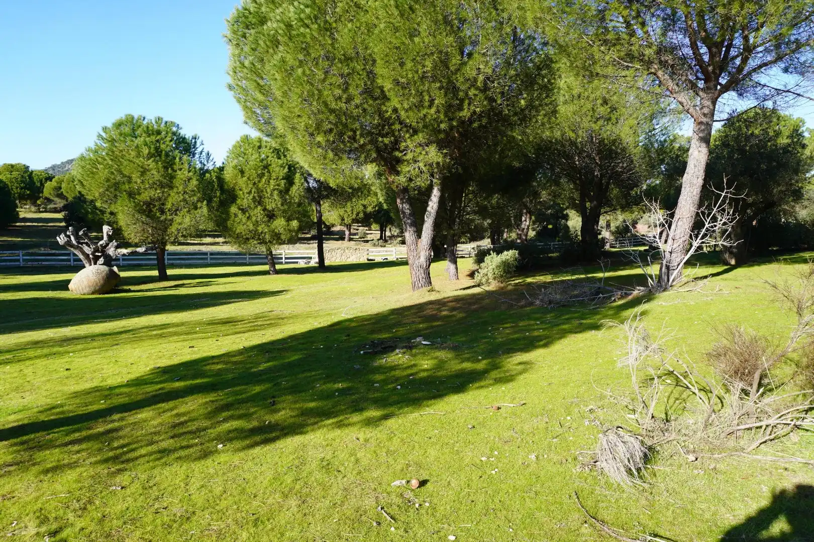 Chalet con piscina en venta en San Martín de Valdeiglesias, imagen 23