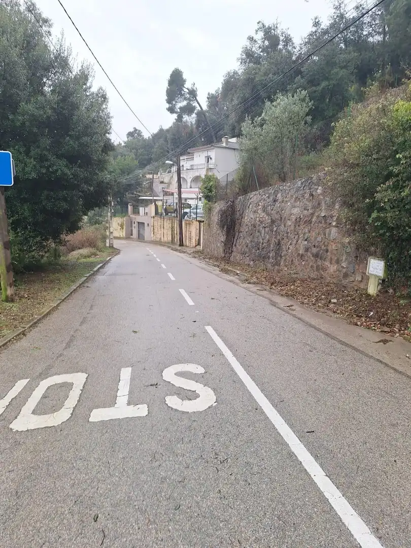 Residential land for sale in Carrer de la Serra de Sant Feliu 44, imagen 7