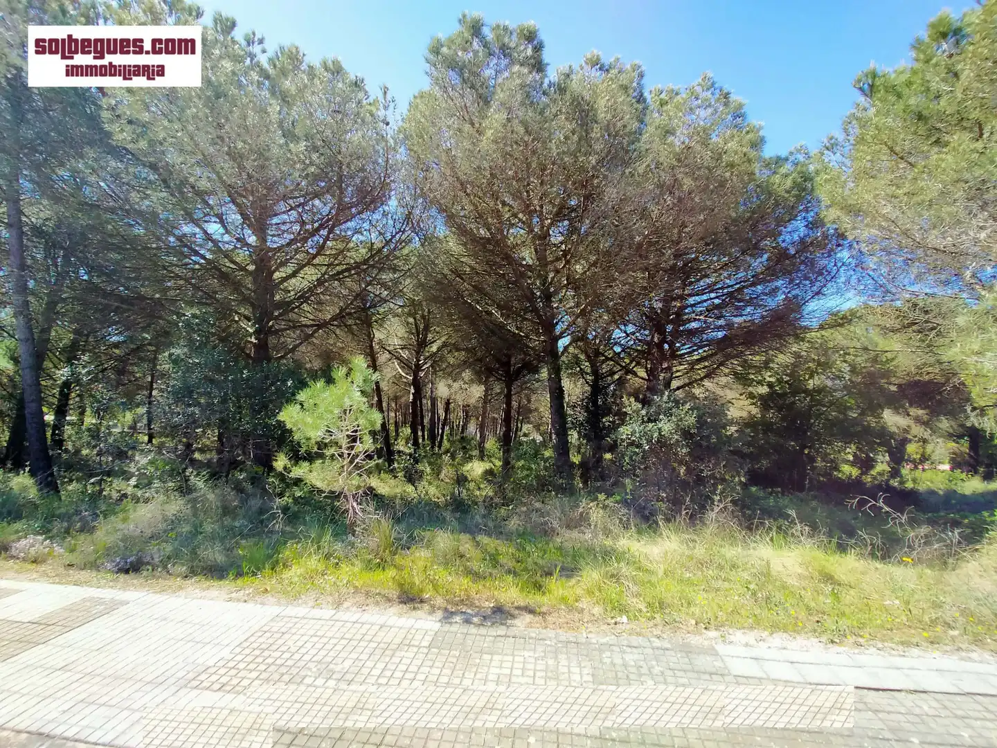 Terrenys i solars en venda a Gregal 32, imagen 12