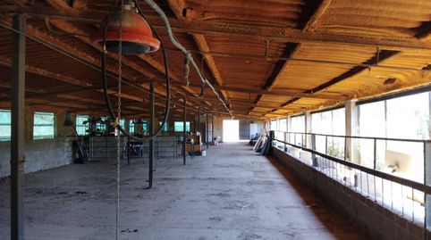 ¡Oportunidad Única! Finca Rústica con Explotación Ganadera Activa en Marçà (Tarragona), imatge 3