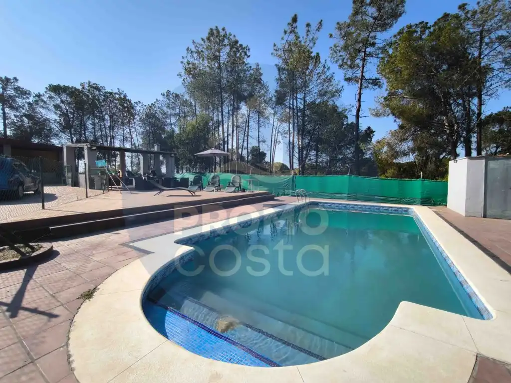 Swimming pool of Country homes for sale in Gibraleón, Huelva