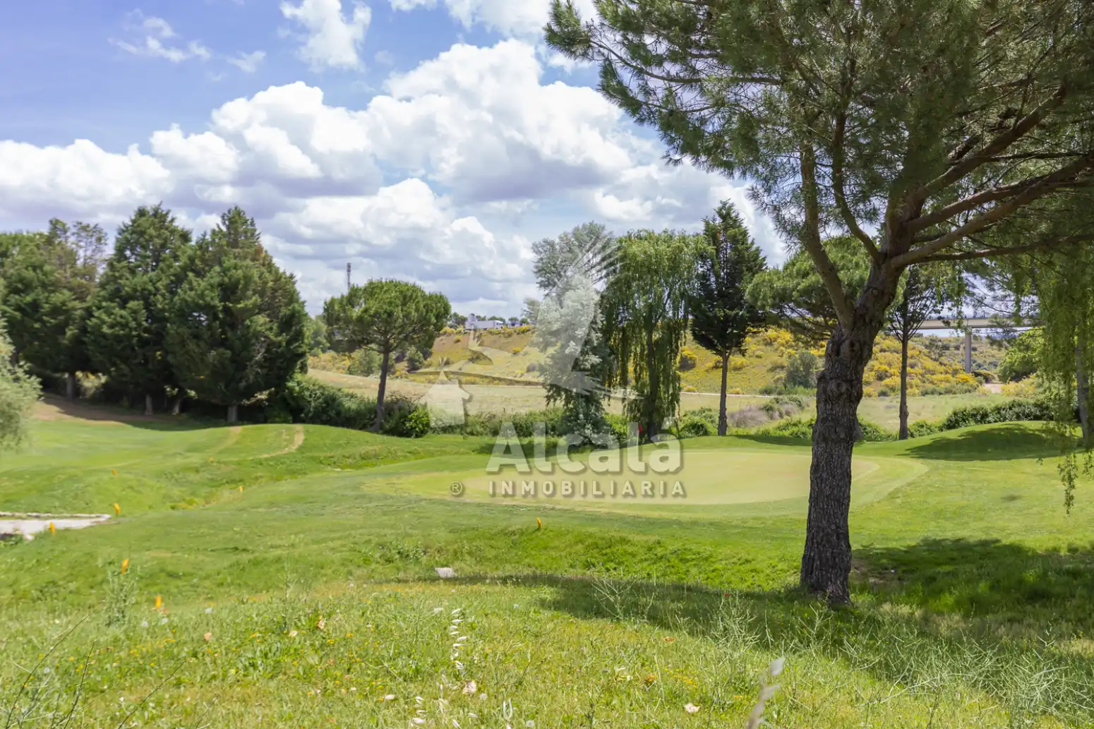 Terreny rústic en venda a Cabanillas del Campo, imagen 52