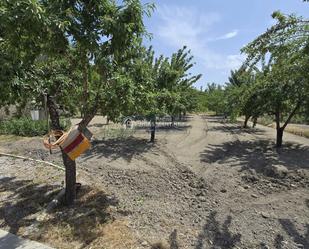 House or chalet for sale in Castilléjar  with Terrace, Storage room and Furnished