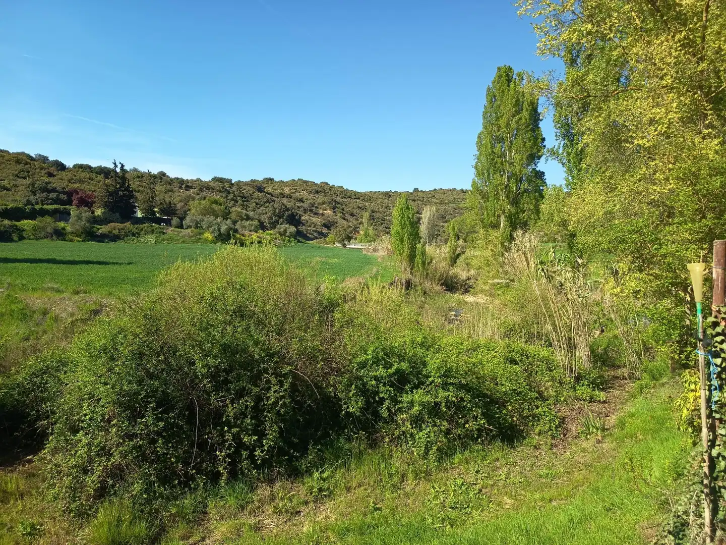 Land for sale in Leoz / Leotz