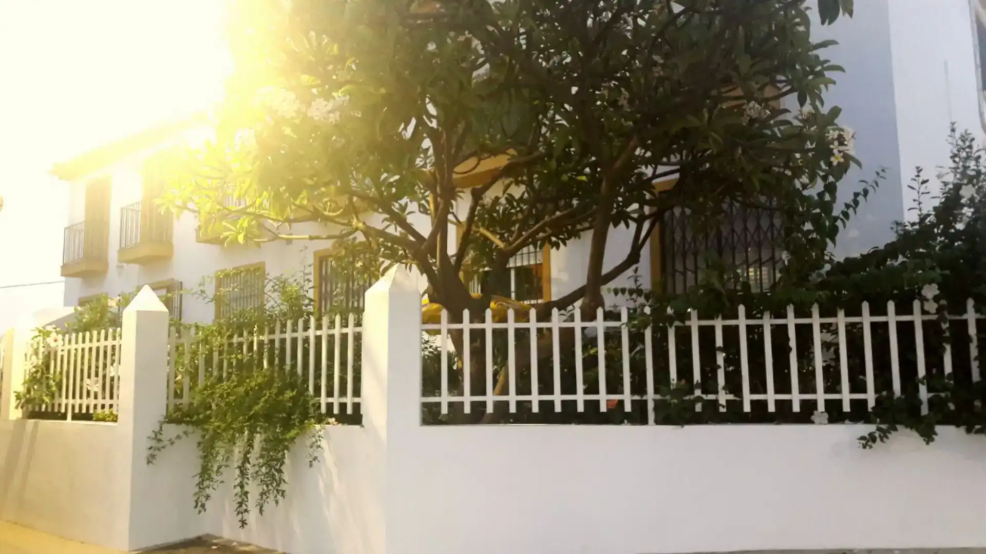Vista exterior de Casa o chalet de alquiler en Algarrobo con Aire acondicionado, Jardín privado y Amueblado