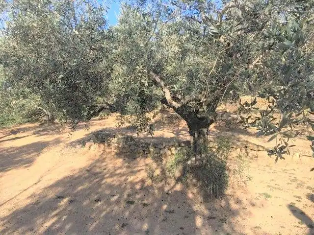 Casa o xalet en venda en Tortosa