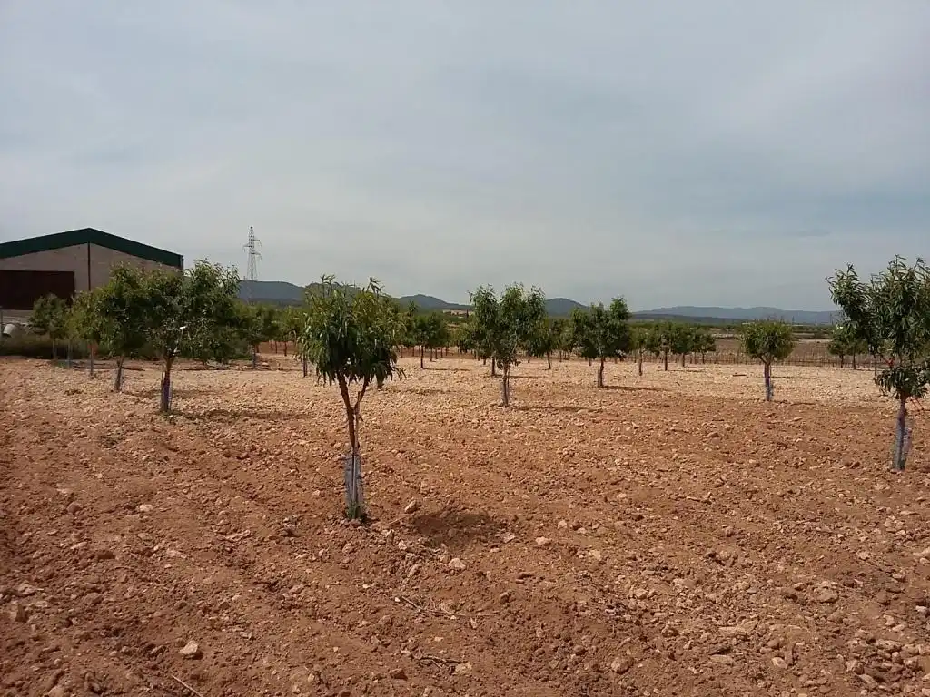 Terreny rústic en venda a CERCA (LA)