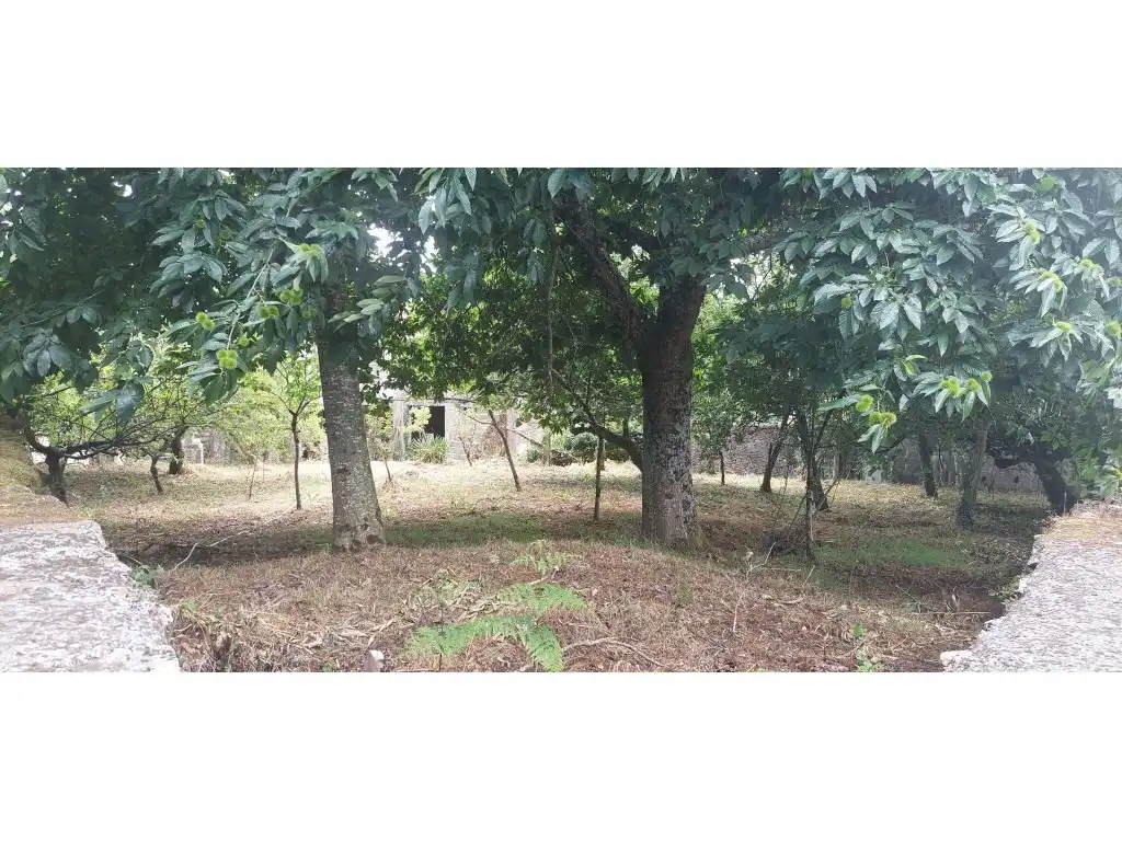 Casa rústica en venda a Lugar Vilar Do Xestal-Noceda, imagen 31