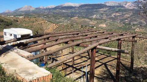 FINCA RÚSTICA EN VENTA  COLMENAR, MÁLAGA, image 4