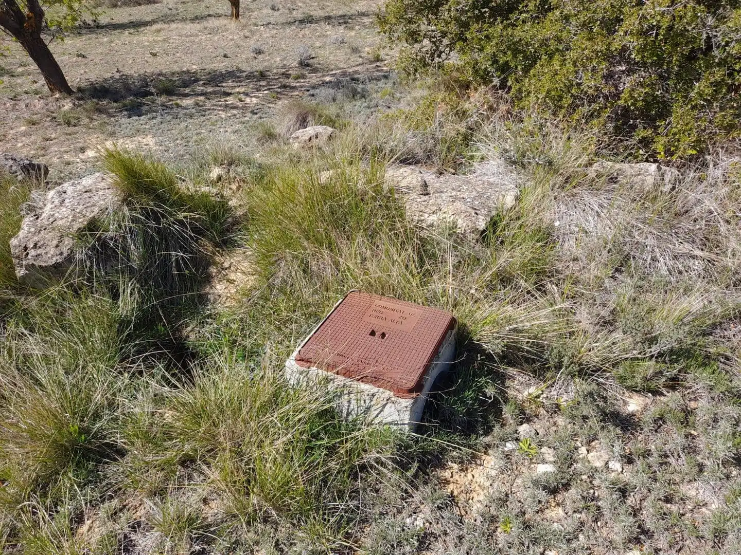 Rural land for sale in Batea, imagen 2