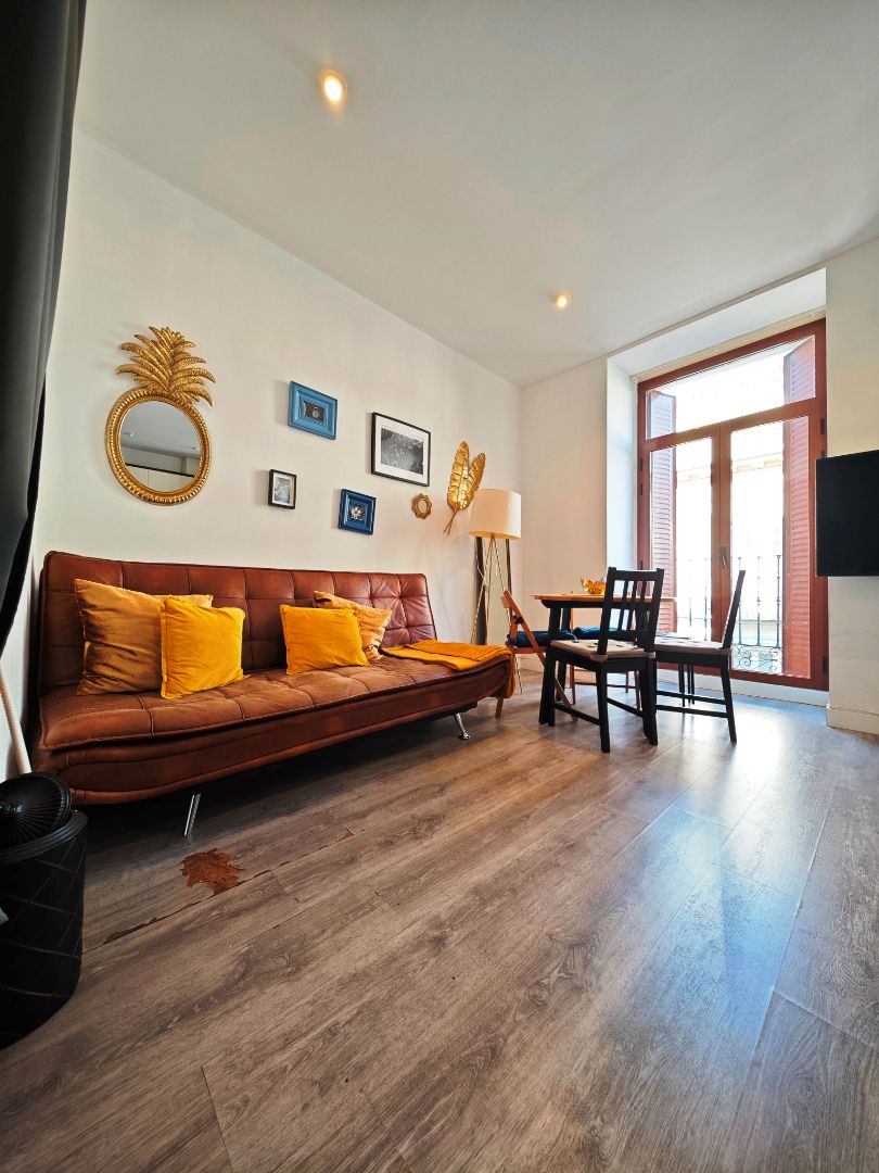 Living room of Flat for sale in  Madrid Capital  with Air Conditioner, Heating and Furnished