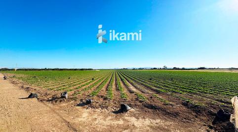 Foto 4 de Terreno en venta en 36, Dolores de Pacheco - Santa Rosalía, Murcia