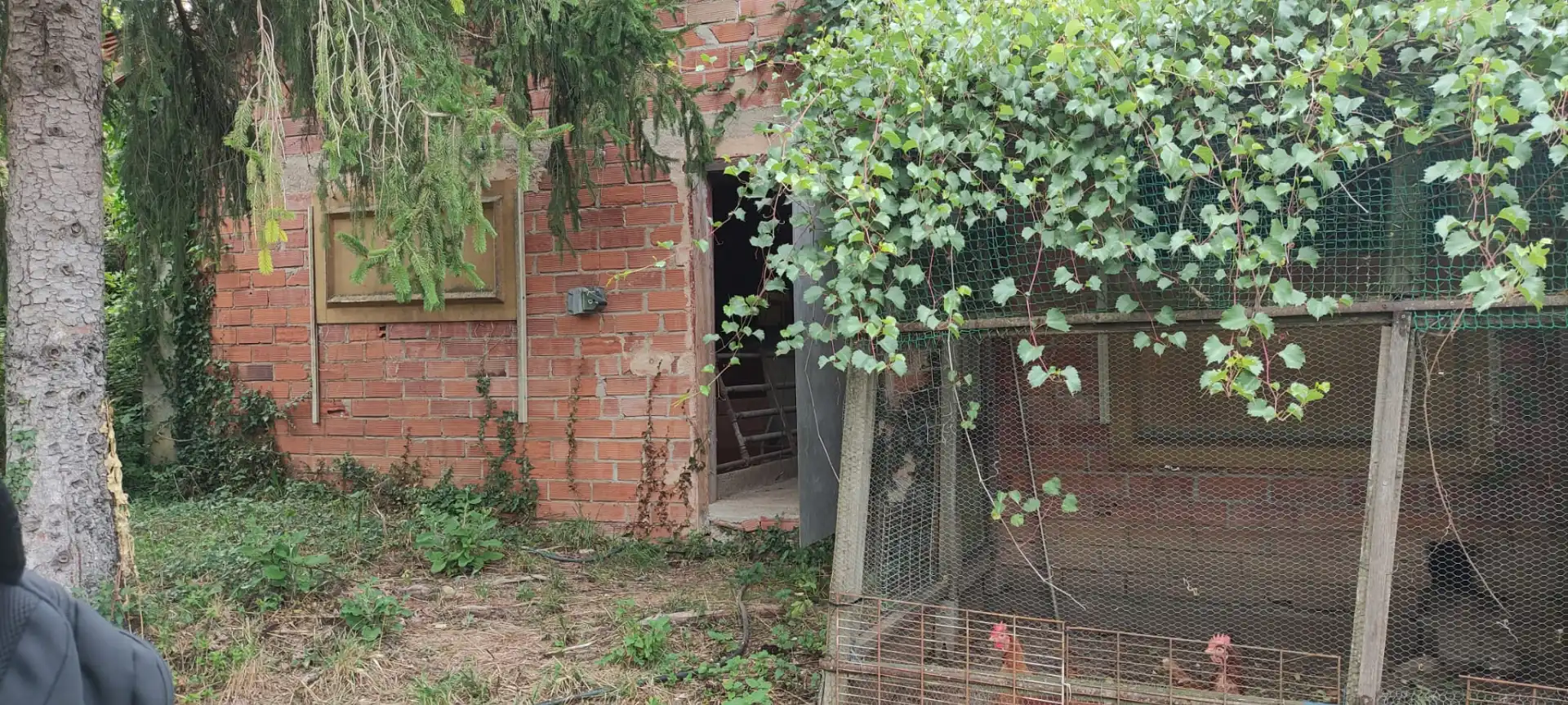 Garten von Fabrikhallen zum Verkauf in Camprodon