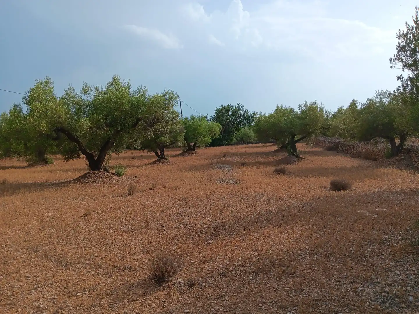 Terrenys i solars en venda a L'Ampolla, imagen 5