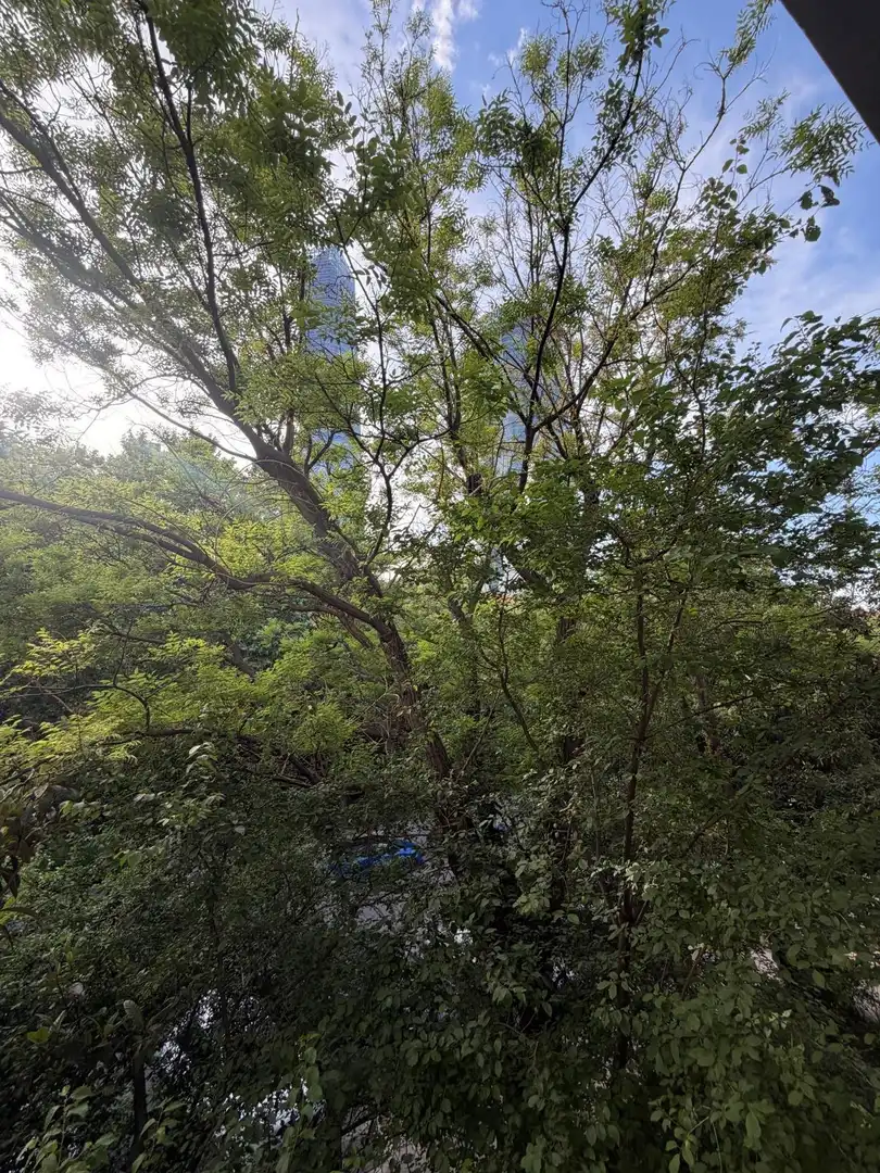 Flat for rent in Madrid  with Air Conditioner and Heating