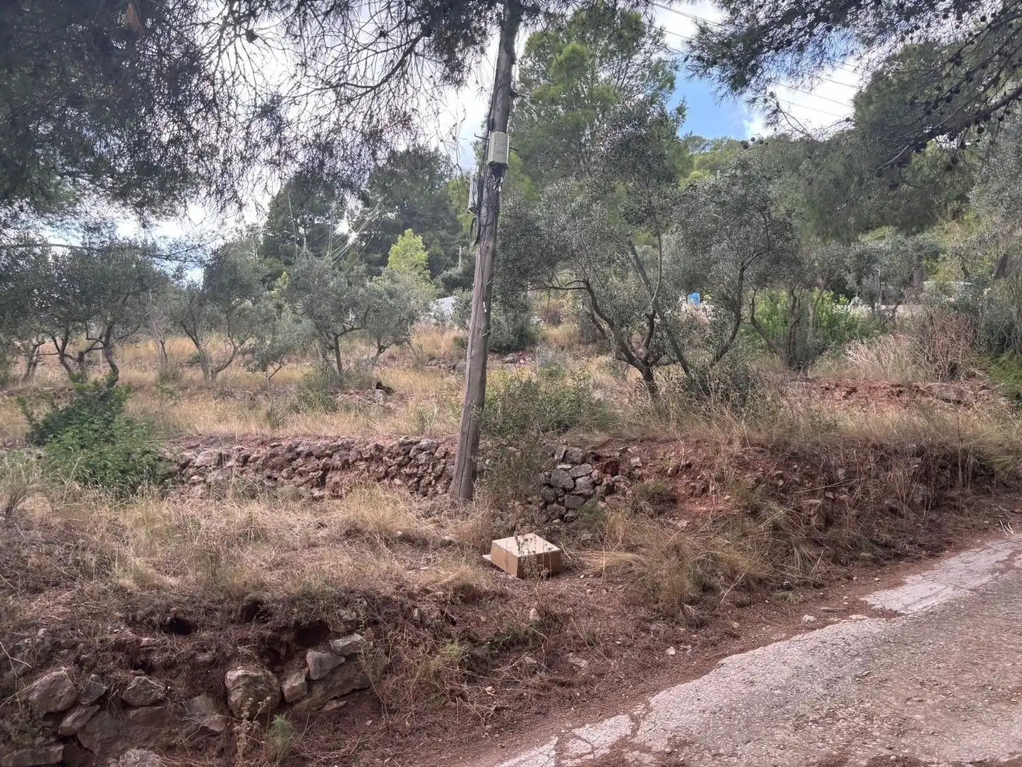 Terreny residencial en venda a del Puig 13, imagen 3