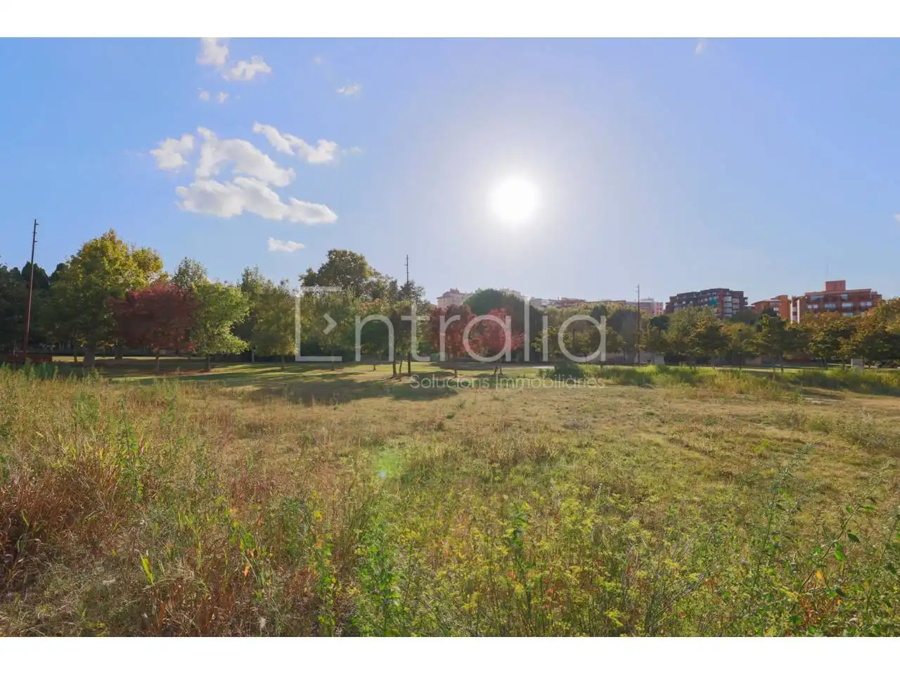 Flat with lift for sale in Calle Pere III, imagen 19