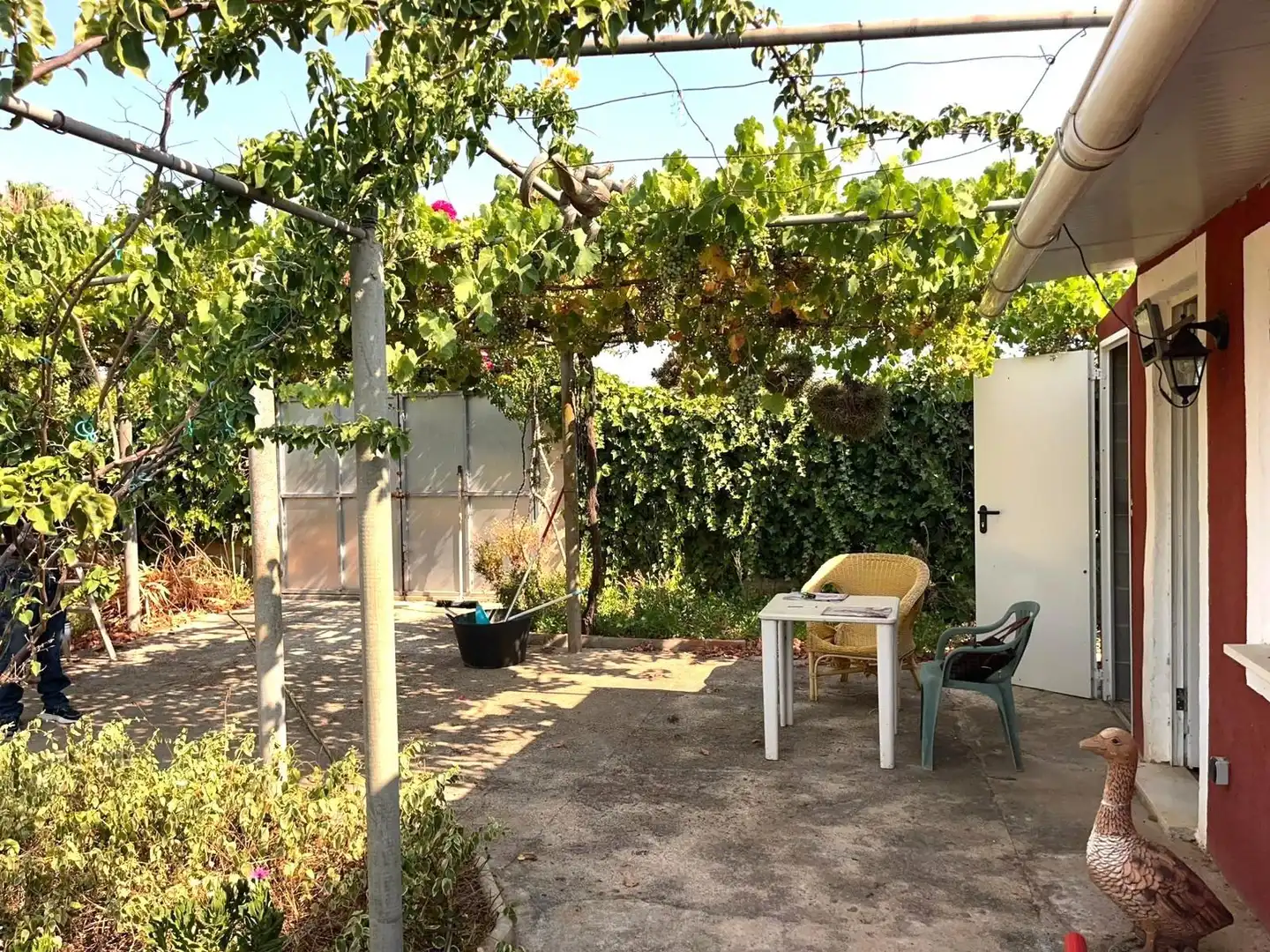 Jardí de Finca rústica en venda en  Palma de Mallorca amb Jardí privat i Terrassa