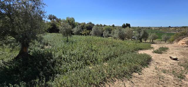 Terreno en Venta en La Floresta