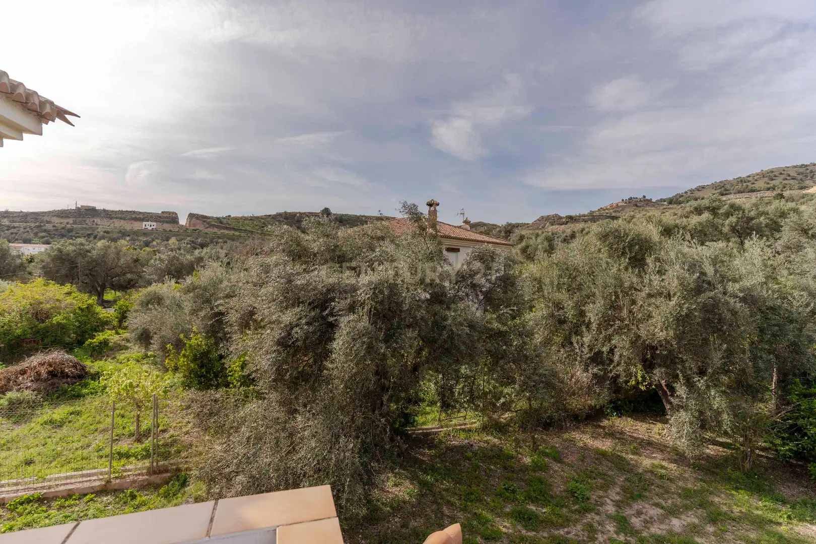 Jardí de Casa o xalet en venda en El Valle