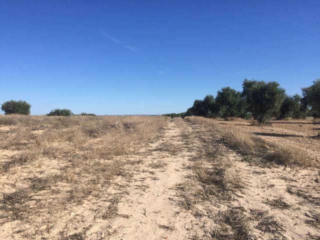 Terreno en Venta en N/A, -1 en Chinchón