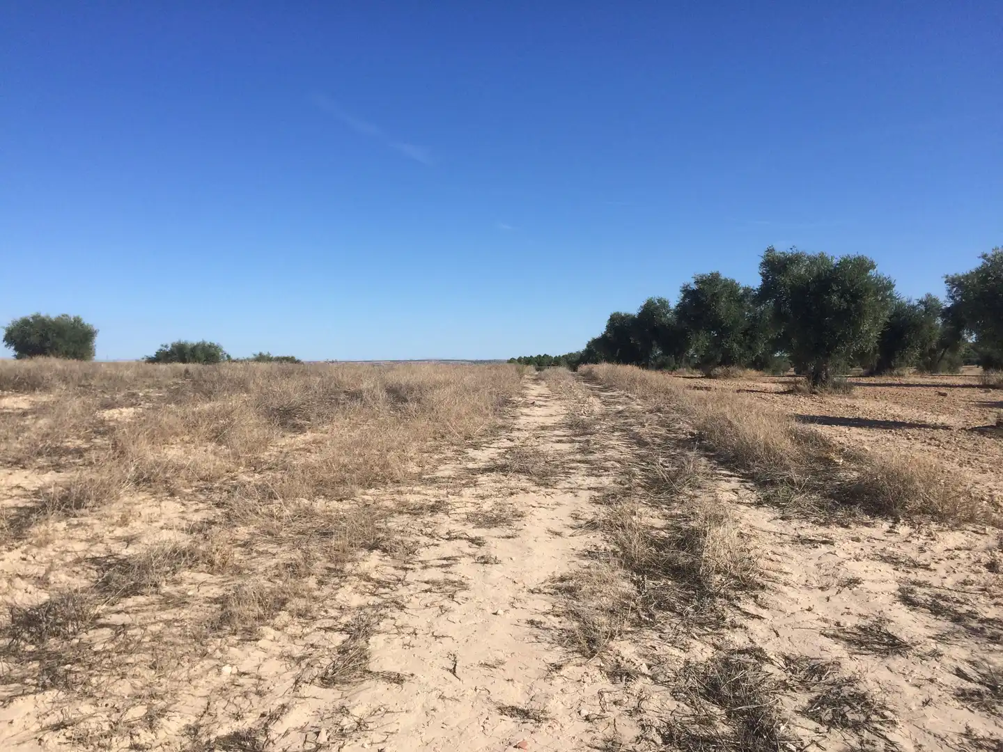 Terreno rustico in vendita a Chinchón