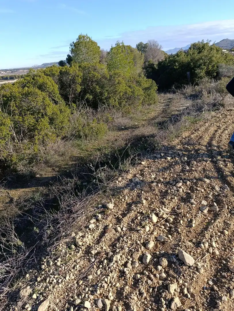 Terreny rústic en venda a Ribera de Molina - Torrealta, imagen 6