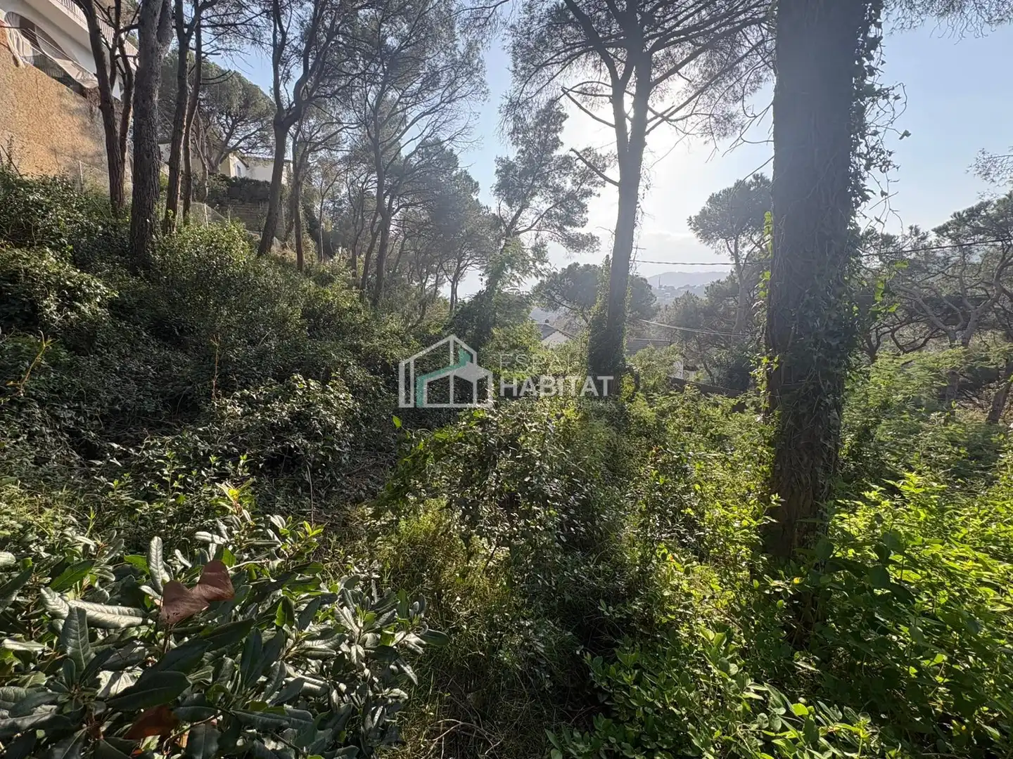 Terreny residencial en venda a Cabrils, imagen 4