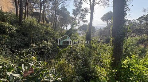 ESTA BUSCANDO PARCELA PARA CONSTRUIR SU CASA?? AQUÍ LA TIENE!!, immagine 4
