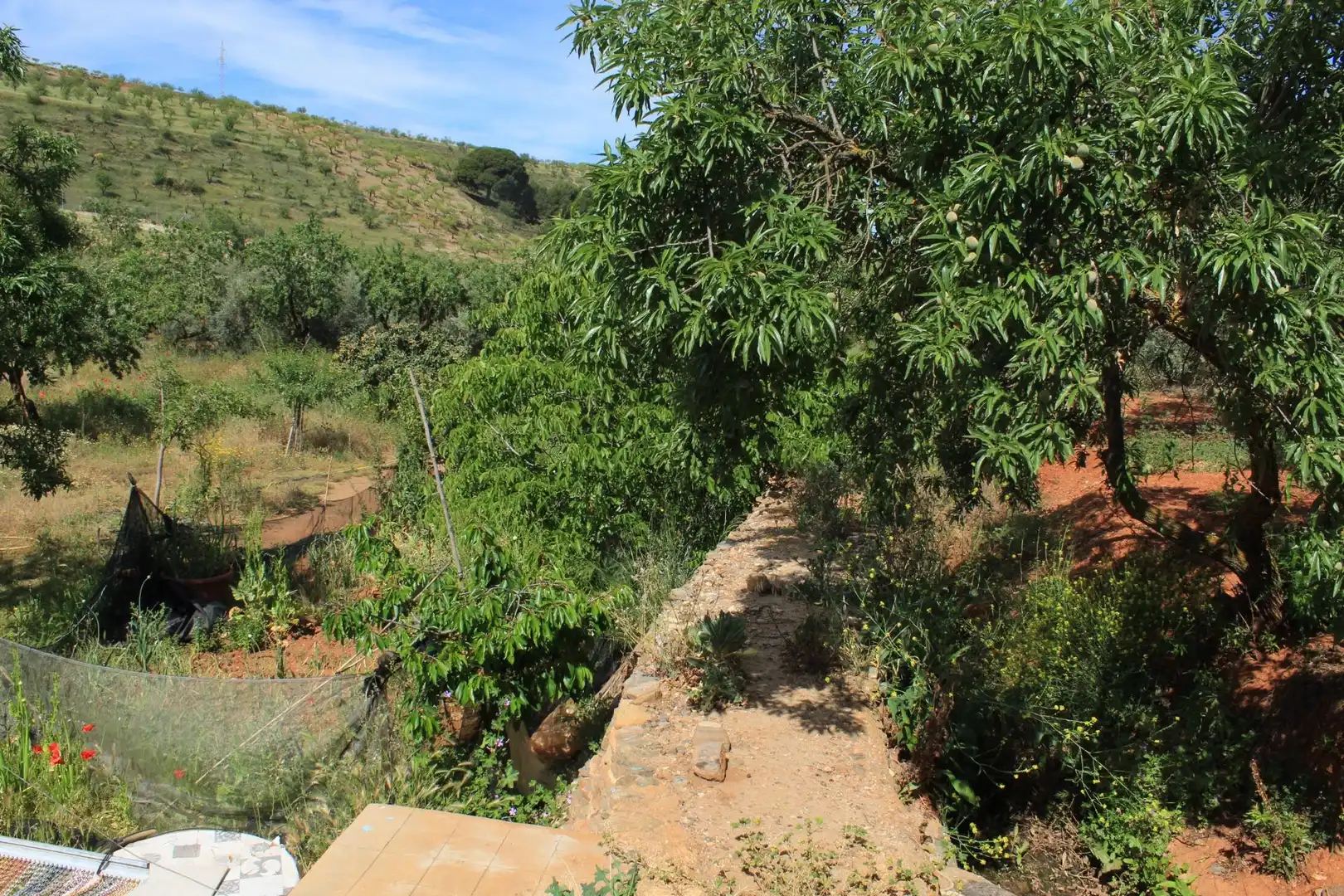 Terreno en venta en Nigüelas