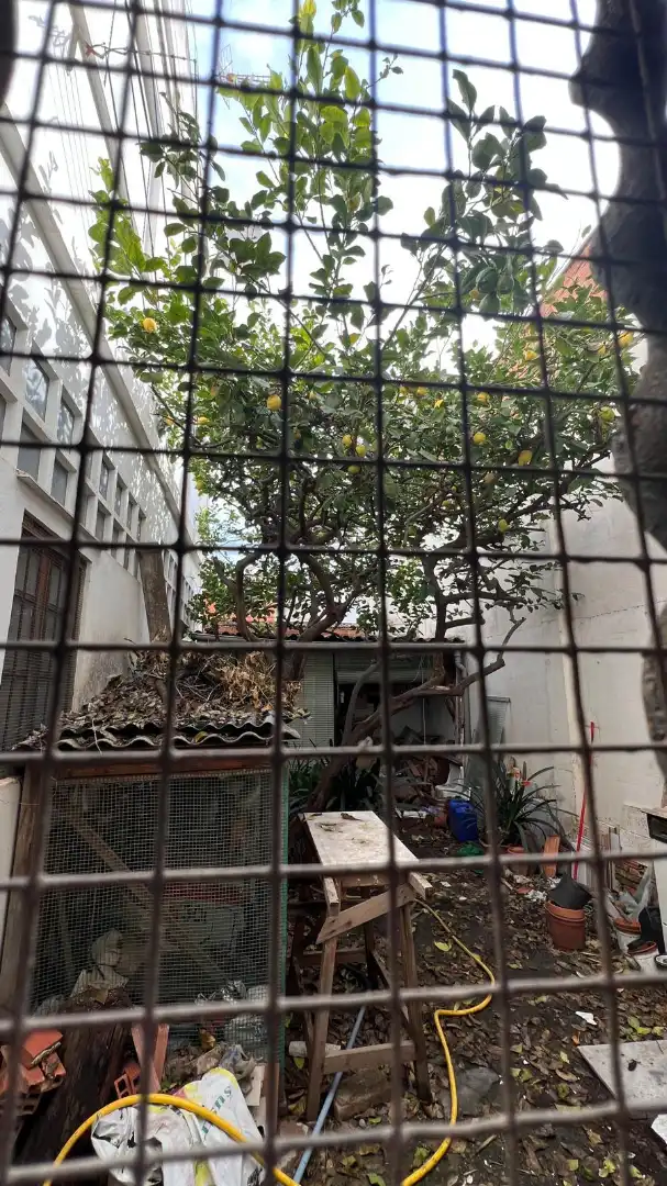 Jardín de Planta baja en venta en Burjassot con Amueblado