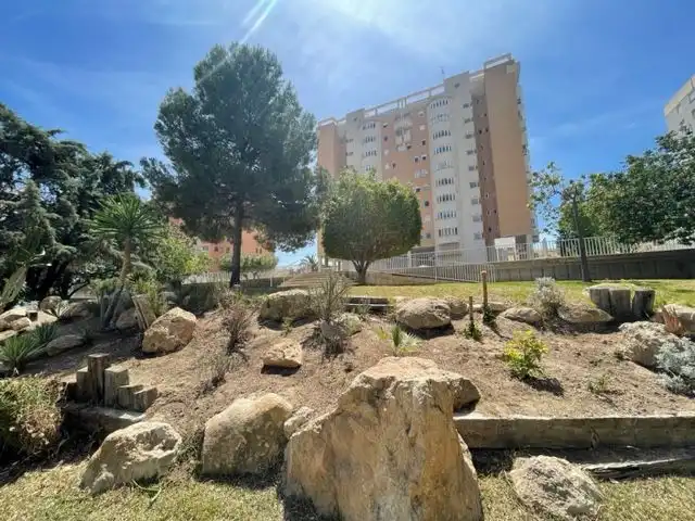 Vista exterior de Pis en venda en Alicante / Alacant amb Traster i Piscina comunitària