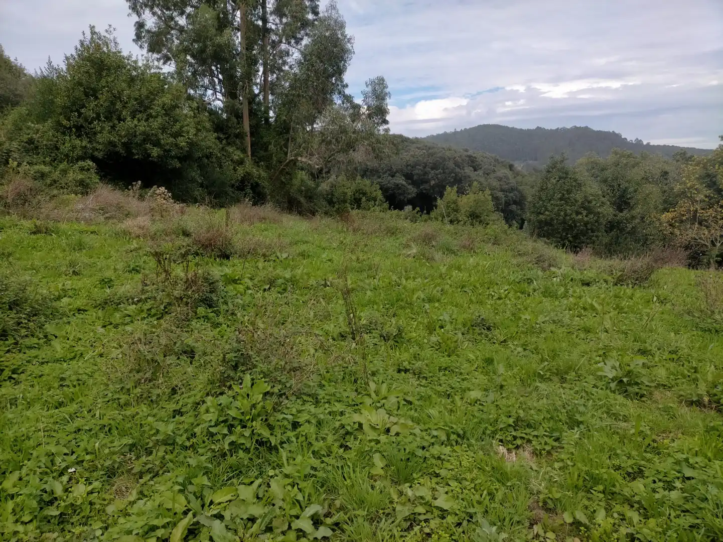 Residencial en venda en Camargo