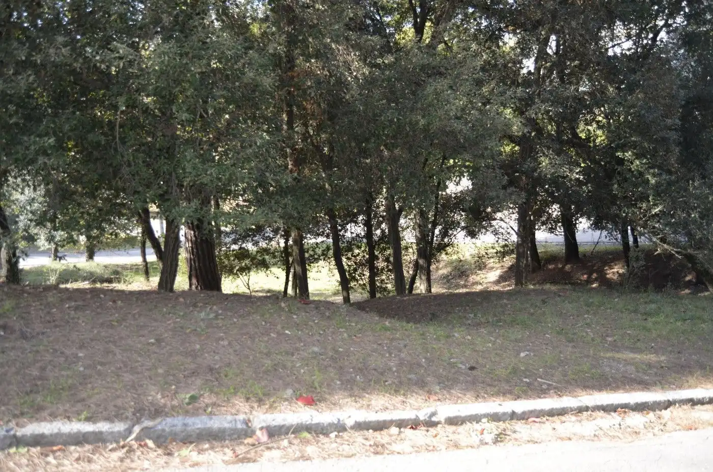 Residential land for sale in Sant Pere de Vilamajor, imagen 7